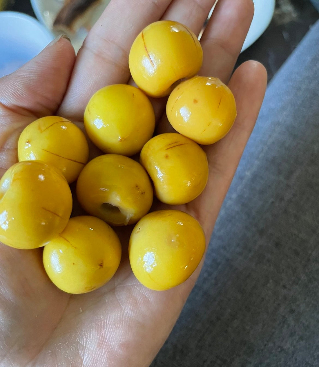 Multiple sizes - Hard to find Nance fruit tree . NanceInga - Nanche -Byrsonima crassifolia- drought tolerant -prolific fruit production